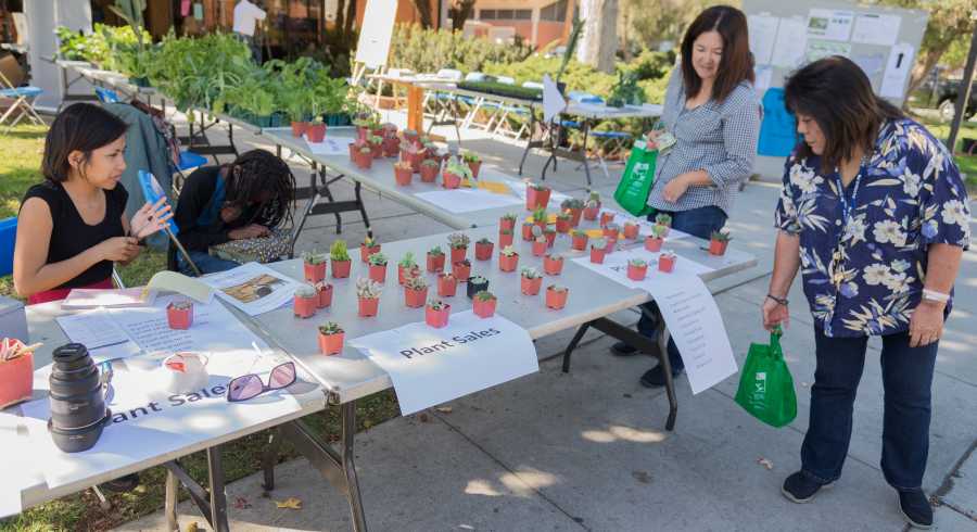 Lei Ancheta, 20, child development major and member of the Horticultural Club, left, mans the plant sale booth during the Drought Workshop Monday. The plants that were sold are all drought-friendly, meaning that they require less water than most plants do. Photo credit: Gilberto Castro