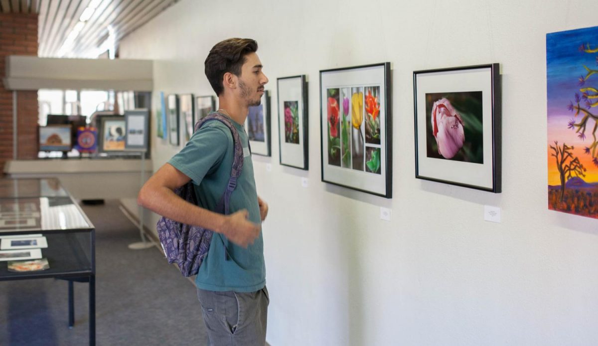 The colors are beautiful and real clear, Jacob Faulk, 18, accounting major, says as he looks at the photographs. Photo credit: Jorge Villa