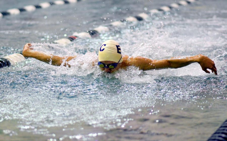 Butterfly+leg+of+the+mens+200+yard+medley+relay+during+the+Warriors+v.+Rio+Hondo+and+Cerritos+College+dual+swimming+and+diving+meet+on+Friday%2C+March+23.+Photo+credit%3A+Jack+Kan