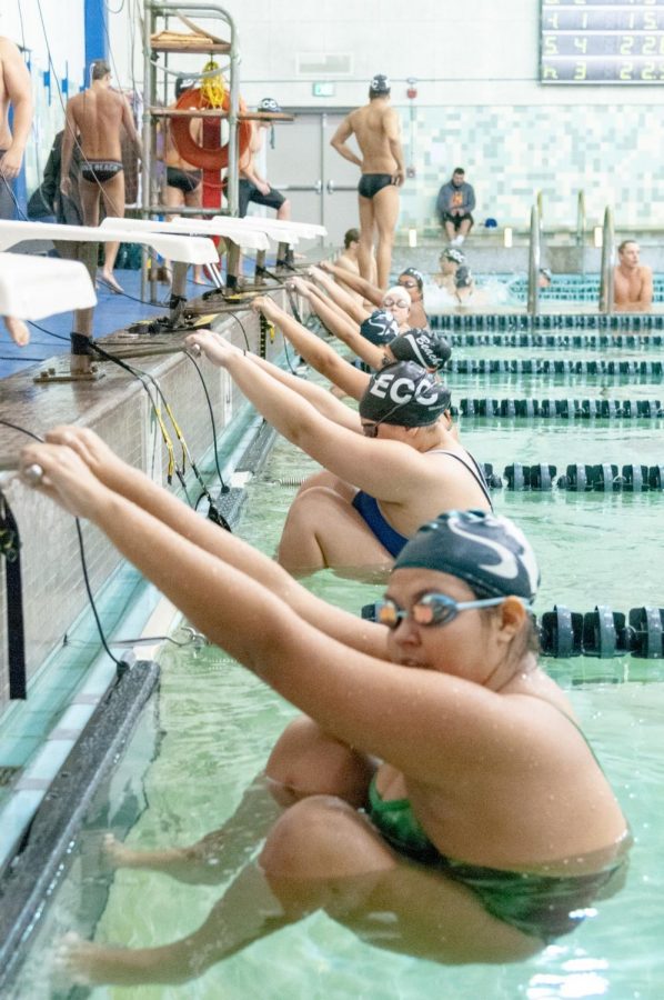 Swimmers from El Camino, Long Beach and East L.A. lining up for the womens freestyle event at the EC Pool on Friday, March 22. Photo credit: Elena Perez