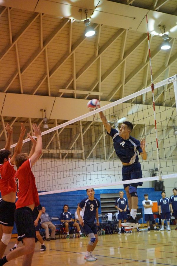 Warriors opposite hitter Angel Felix preparing an attack versus Santa Barbara City College at El Caminos South Gym on Wednesday, April 3. The Warriors won both games 25-21 and 25-17. Photo credit: Jun Ueda