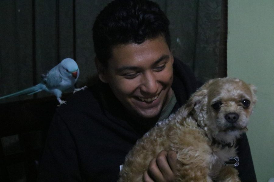 Carlos Paz, 21, sits with his Indian Ringneck parakeet Blu and dog Chikis after a long day at El Camino College and working as a mechanic on Monday, May 6. Paz said he owes his success to his father who encourages him to pursue his outmost goals in life. Photo credit: Rosemary Montalvo