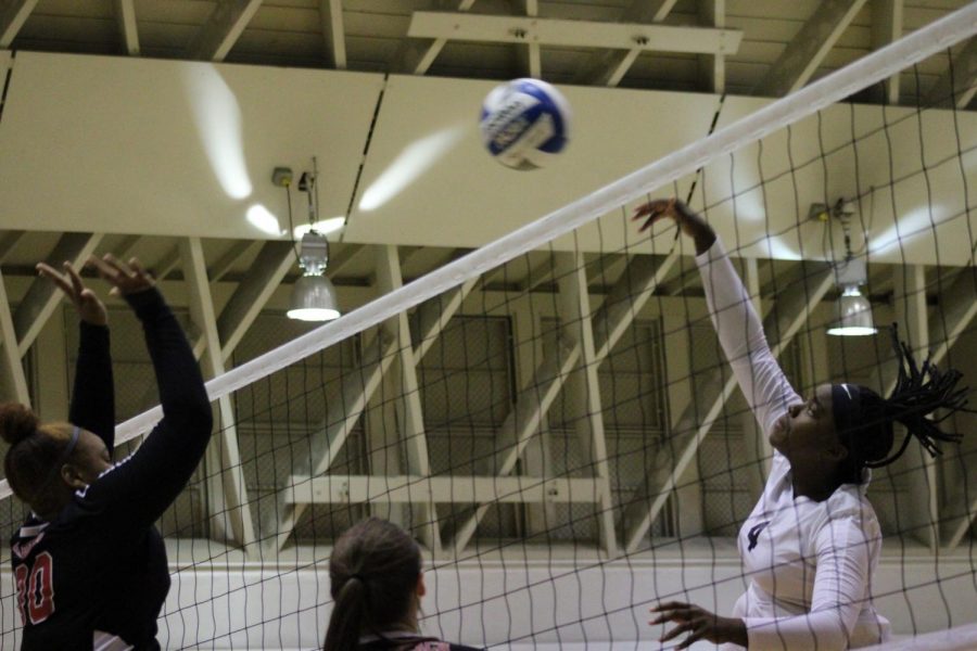 El Camino College middle blocker Ginia Goods goes for a spike against Long Beach City College middle blocker Kennedy Freeman at the net during the first set of the match on Friday, Nov. 8, in ECCs South Gym. The Warriors lost in five sets. Jaime Solis/The Union