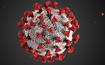 A model of the coronavirus created by the Centers for Disease Control and Prevention. 25 new cases of coronavirus were identified in Los Angeles County on Sunday, March 16. Photo Credit: CDC