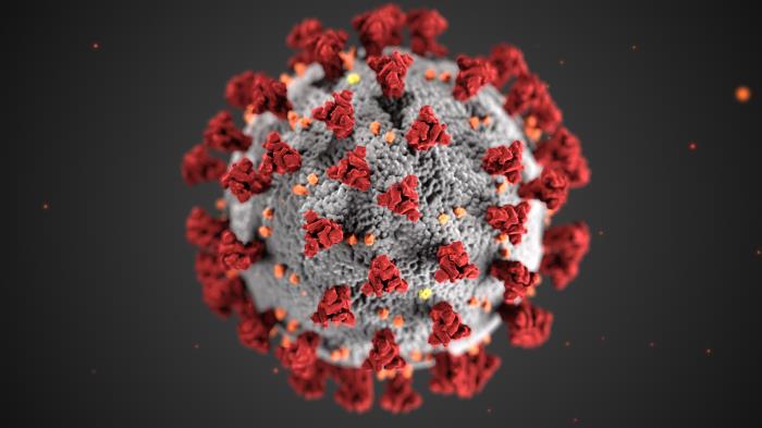 A model of the coronavirus created by the Centers for Disease Control and Prevention. As coronavirus cases continue to rise in the United States, California and Los Angeles, over a dozen LA County community colleges have announced in-person lectures will be going online. Photo Credit: CDC