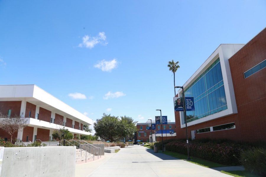 El Camino College will remain closed to the public for the rest of the spring semester and summer sessions. More than 100 of its fellow community college campuses have received guidance from the State Chancellor Eloy Ortiz Oakleys office, instructing campuses to keep classes online. Mari Inagaki/The Union