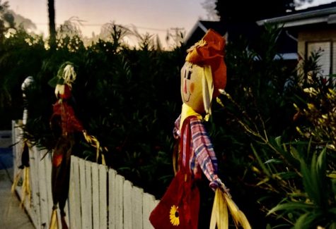 As the sun sets the fading light illuminates a group of scarecrows that decorate a property fence in the Redondo Beach area on Monday, Oct. 25. Los Angeles residents decorate their houses in preparation for Halloween night this Sunday. Photo by Isabella Villatoro/The Union.