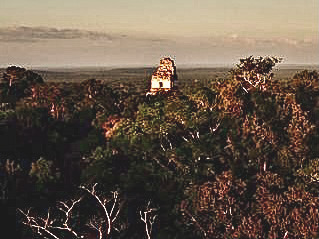 The Mayan temple "El Gran Jaguar" emerged from the abundant trees of the rain forest in Tikal, Guatemala on March 28, 2021. Isabella Villatoro/The Union.