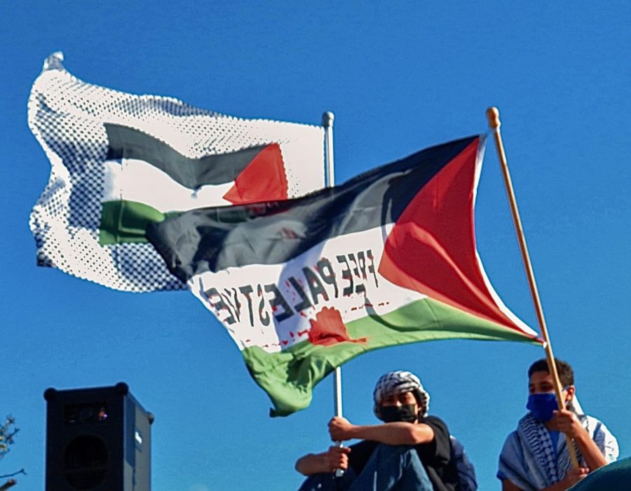 Young children wave Palestinian flags during speeches before a protest in Anaheim on Friday, May 21. The protests were held in collaboration with CSULB and the Palestinian Youth Movement.