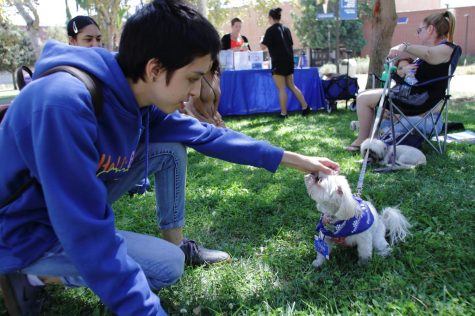 Nayeli, a Pre-Nursing student, pets Trixie, a therapy dog, during a visit by Paws-to-Share at El Camino College on Sept. 28. (Raphael Richardson | The Union)