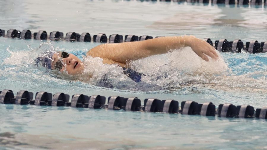 El+Camino+swimmer+Mia+Park+swimming+the+women%E2%80%99s+200-yard+backstroke+at+the+ECC+Aquatics+Center+on+Friday%2C+March+24+for+a+South+Coast+Conference+dual+meet+against+Cerritos.+Park+took+first-place+finishes+in+the+1000-yard+freestyle%2C+200-yard+backstroke%2C+200-yard+individual+medley+and+400-yard+free+relay+which+included+Angelina+Norris%2C+Diana+Nguyen%2C+and+Melissa+Brill.+%28Greg+Fontanilla+%7C+The+Union%29+Photo+credit%3A+Greg+Fontanilla