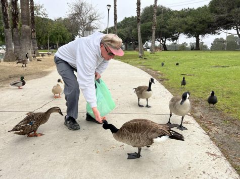 Torrance resident and retired repairman Jay Rhoads comes to Alondra park to feed the ducks and birds on Tuesday, March 14. (Nindiya Maheswari | The Union)