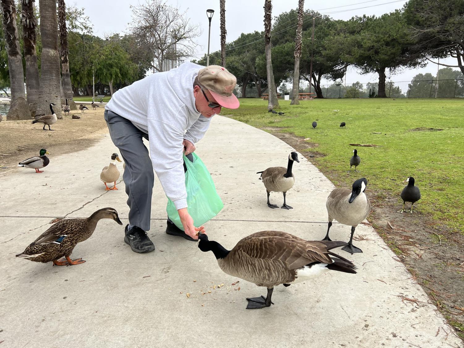 Catfish, squirrels and geese: Oh my! - El Camino College The Union