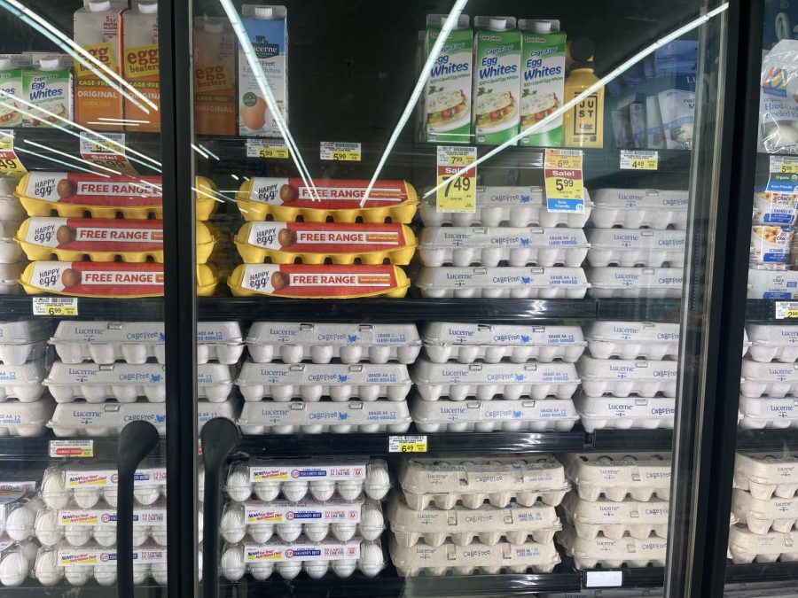 On Feb 21, 2023 egg prices range from $7.49 to $8.99 for a quart of liquid eggs; $6.49 to $9.99 for a dozen shelled; and $28.99 for a carton of 60 at the Albertsons Supermarket near El Camino College at 1735 Artesia Blvd. in Gardena, Calif. (Kim McGill | The Union)