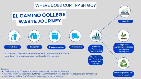 An infographic "Where does our trash go" follows El Camino&squot;s trash journey from a single bin to be sorted for recycling at a Material Recovery Facility (MRF). El Camino College does not provide separate recycling and composting bins. The college mostly relies on the trash company Republic Services to recycle its waste. Nindiya Maheswari | The Union