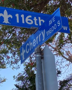 Dominguez Channel begins near 116th Street and Cherry Avenue in a quiet neighborhood near the border of Inglewood and Hawthorne. It flows through the South Bay, into Los Angeles Harbor, then into the Pacific Ocean. (Alexis Ramon Ponce | Warrior Life)
