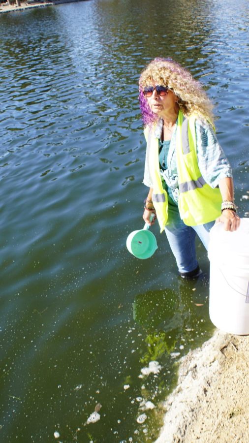 Biologist DeAna Vitela takes water samples from Alondra Park Lake to be tested. Vitela is the founder and CEO of Gardena- based AquaBio Environmental Technologies. (Alexis Ramon Ponce | Warrior Life)