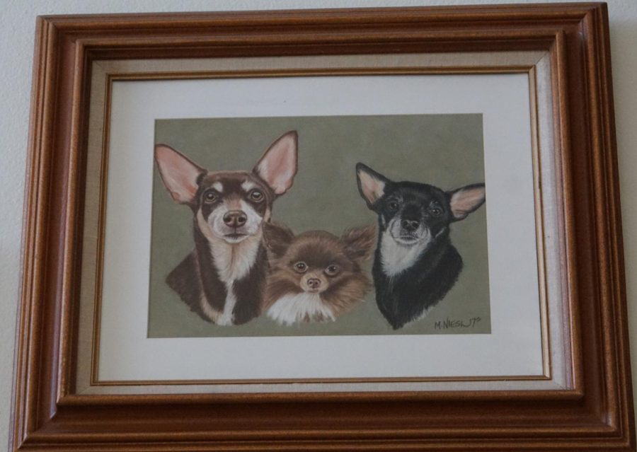 Chihuahuas+%28L-R%29+Kiko%2C+Yoda+and+Shandy+are+memorialized+in+this+painting+by+Mary+Dibble.+The+Chihuahuas+gave+unconditional+love.+They+were+the+light+of+their+owners%E2%80%99+lives+and+changed+their+lives+forever.+%28Alexis+Ramon+Ponce%29