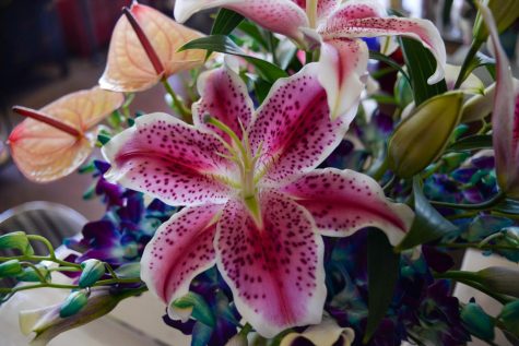 An opened pink Oriental Lily surrounded by other vibrant flowers in a pre-made bouquet is displayed at The Gardena Florist on April 20, 2023. (Ash Hallas | Warrior Life)