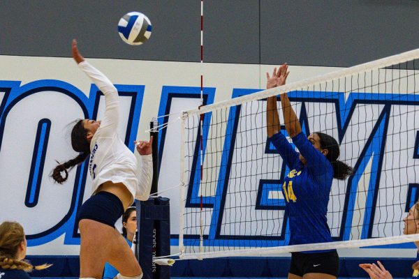 Outside hitter Sophia Ortiz attacks a ball on the pin and sides out to win the first set of the match versus Harbor College during the Sept. 15 game. In El Caminos three set victory Sophia scored the the final points in the first two sets. (Ethan Balderas | The Union)