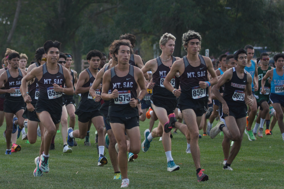 Runners from various colleges race against each other during the South Coast Conference Championships at Ken Malloy Harbor Regional Park in Harbor City on Friday, Oct. 27. (Renzo Arnazzi | The Union)