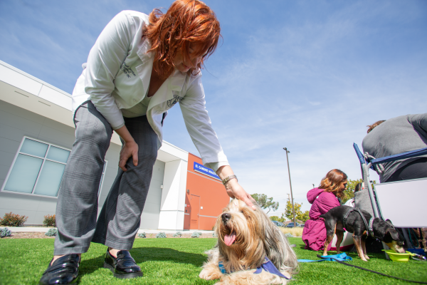 El Camino College nurse Chris Campbell pets Blizzard the Tiberian terrier during the Paws-itive Connections event at the Health Center Circle at El Camino College on Wednesday, March 13, 2024. (Photo by Raphael Richardson | The Union)