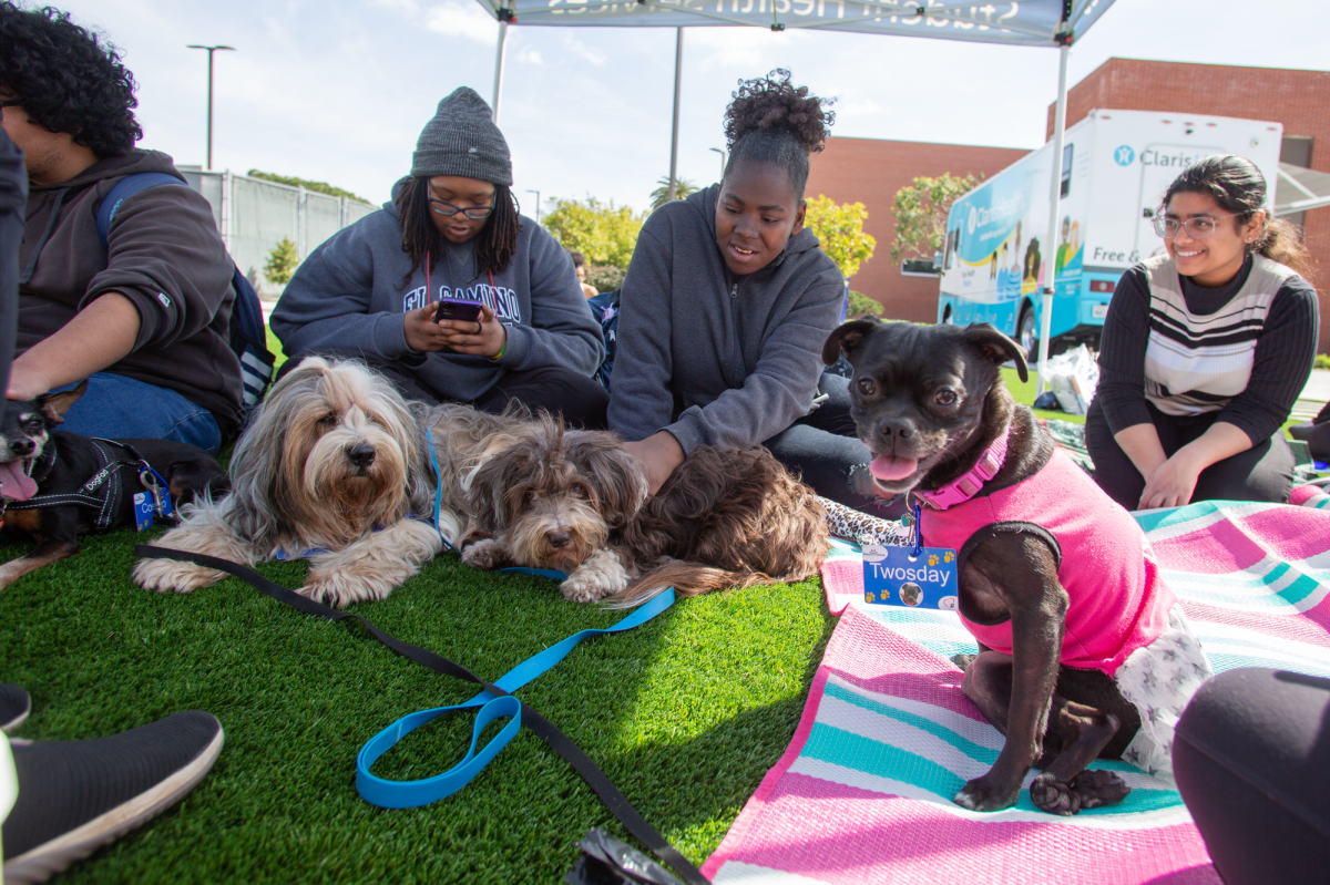 Students play and interact with therapy dogs during the Paws-itive Connections therapy dog session at the Health Center Circle at El Camino College on Wednesday, March 13. (Raphael Richardson | The Union)