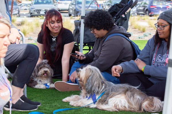 Students play and interact with therapy dogs during the Paws-itive Connections event at the Health Center Circle at El Camino College on Wednesday, March 13, 2024. (Photo by Raphael Richardson | The Union)