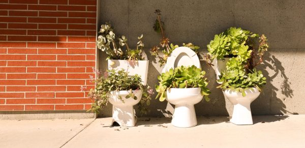 A trio of old toilets serve as planter pots for succulents on Wednesday, Feb. 28 at 1:30 p.m. The makeshift planters are on display outside the El Camino College Art Gallery. (Delfino Camacho | The Union)