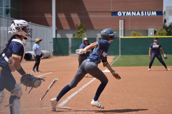 El Camino Softball team hunts down L.A. Harbor in explosive 2nd and 4th innings backed by dominant pitching