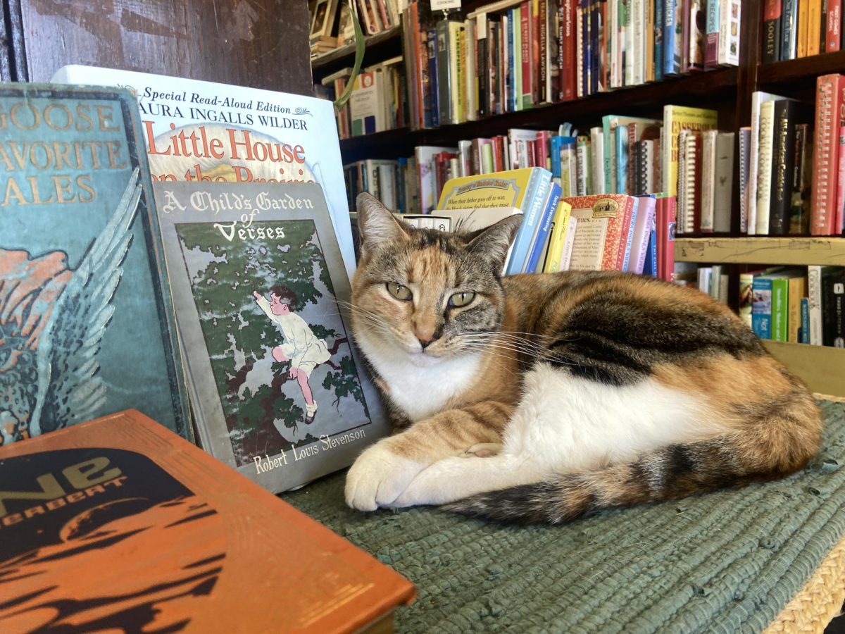 Bookstore cat Agatha Christie curls up next to some children’s books at Dave’s Olde Book Shop in Torrance on May 7. This friendly feline is always at the bookstore welcoming customers, sniffing new donations and exploring the many aisles available at the store. (Angela Osorio | The Union) 