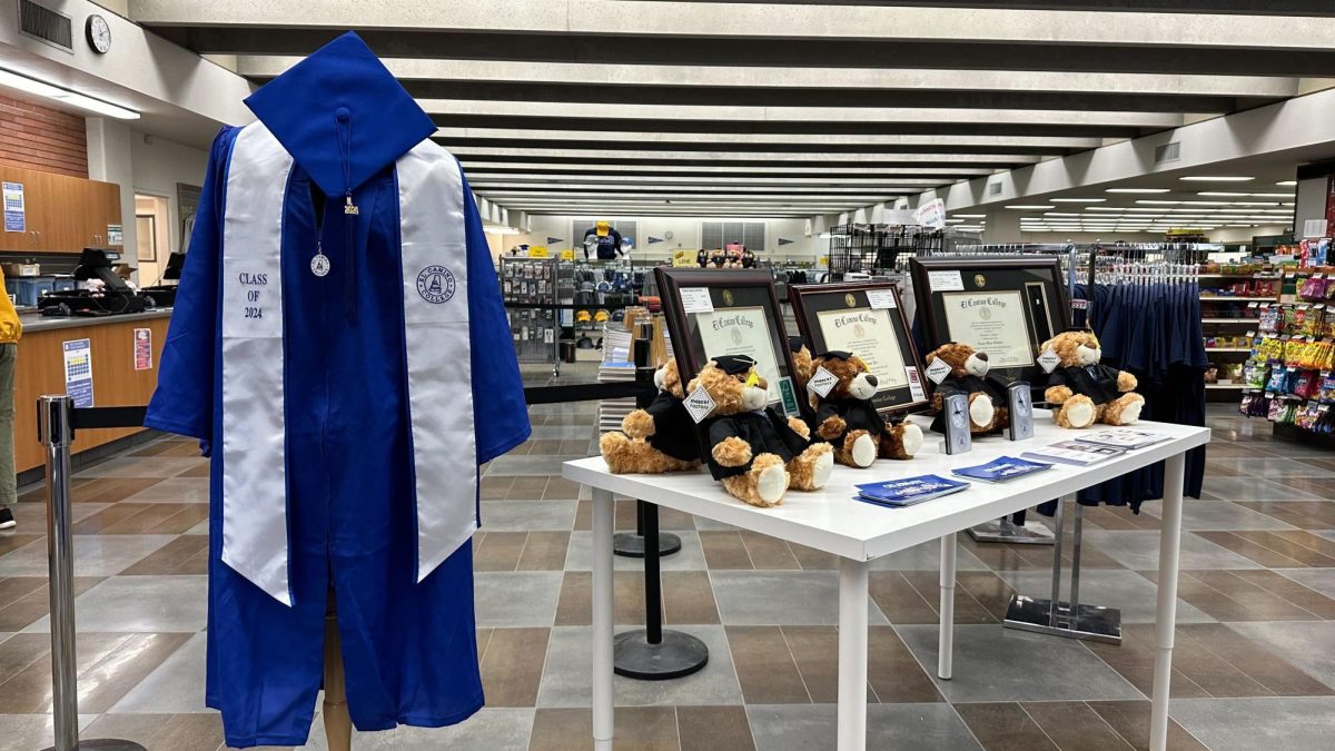 Graduation regalia are on display at the El Camino College Bookstore on May 23. Graduates participating in the 77th Commencement Ceremony on June 7 are required to wear them. We encourage graduates to purchase their regalia from the Bookstore immediately, the El Camino website says. (Ma. Gisela Ordenes | The Union)