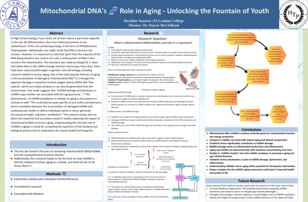 A screenshot of honor student Ibrahim Yaaseen's award-winning poster on human aging and Mitochondrial DNA. (Olivia Sullivent | The Union)