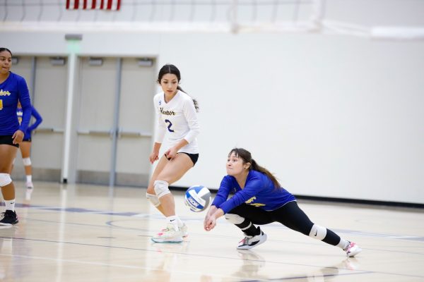 LA Harbor libero Lauren Villaneda passes the ball on a serve receive during a South Coast Conference showdown with El Camino on Friday, Oct. 11. Villaneda recorded six digs in a 3-0 loss to El Camino at the ECC Gymnasium. LA Harbor will be on the road in an SCC battle with Cerritos College on Friday, Oct. 18 at 6 p.m. (Greg Fontanilla | The Union