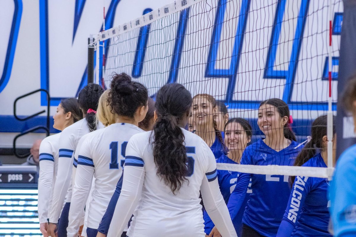 El Camino Women's Volleyball team lines up to greet Cerritos College Falcons on Friday, Oct. 4. at the ECC Gym Complex. (Kayla Mitchell | The Union)