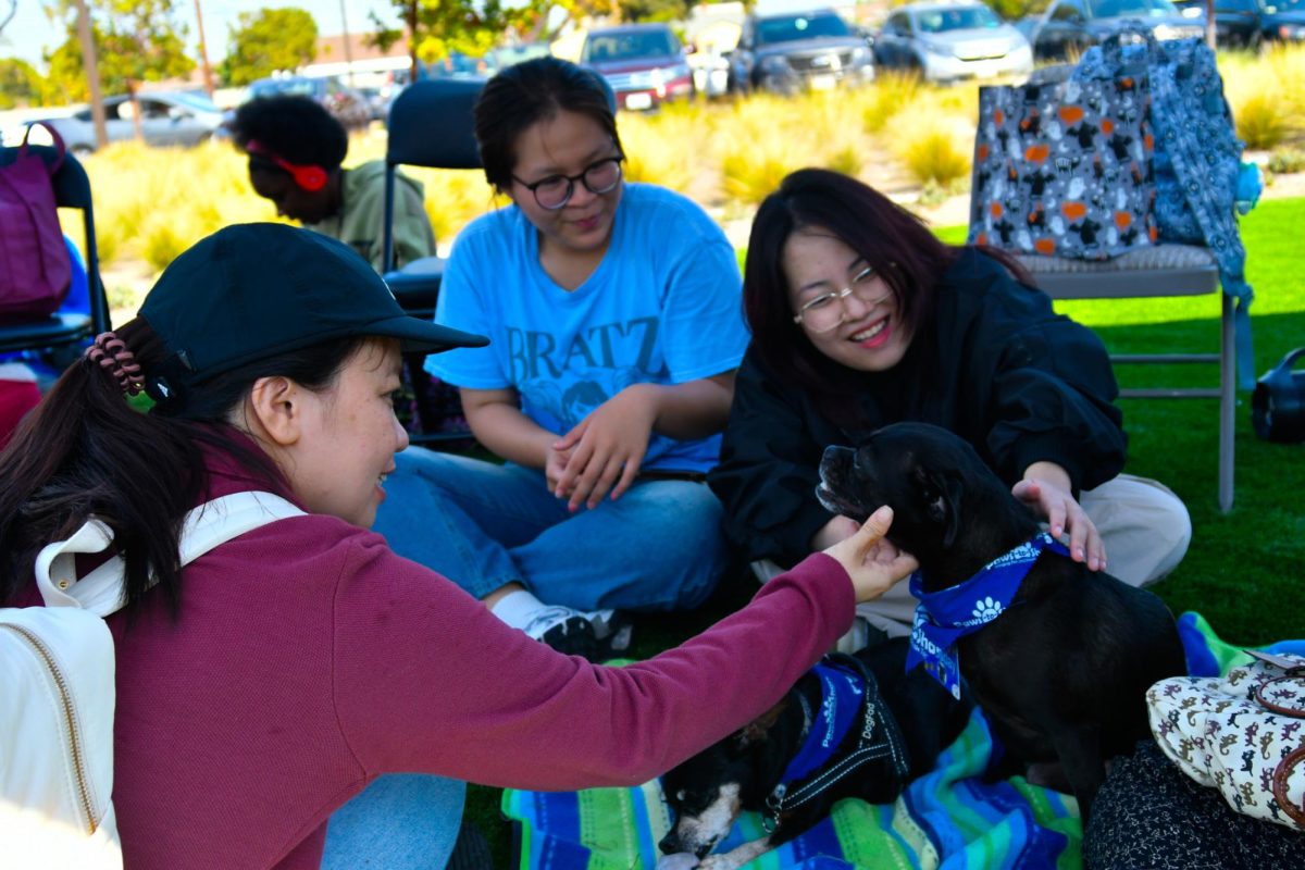 El Camino students interact with Twosday Burton, a therapy dog on Wednesday, Oct. 2 by Student Health Services. (Rosemarie Turay | The Union)