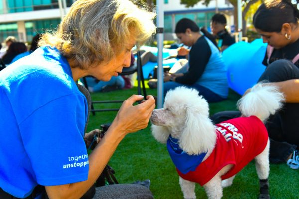 Anya Zinoveva director, editor and writer and a Handler for Paws-to-Share and her therapy dog Ray who is also known as a dog actor on Oct. 2 2024 on El Camino Campus. (Rosemarie Turay | The Union)