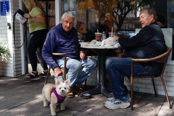 Stella, a 12-year-old Chihuaha/Yorkie mix, enjoys lunch at Torrance Bakery’s cafe with her Dad Jim Scharf, left, and his brother Lee Scharf on Oct. 11. Jim Scharf was the 1967 freshman class president at El Camino College. “We like going here,” Scharf said. “It’s like Main Street at Disneyland without the people.”