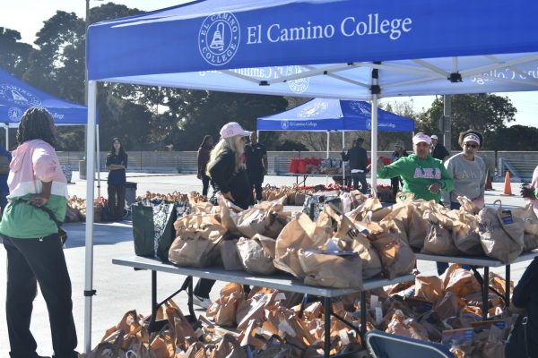 The AKA sorority helps volunteer to assist in handing out 1,000 turkeys to families for the upcoming Thanksgiving holiday alongside the Zeta Phi Beta sorority on Friday morning. (Rosemarie Turay | The Union)