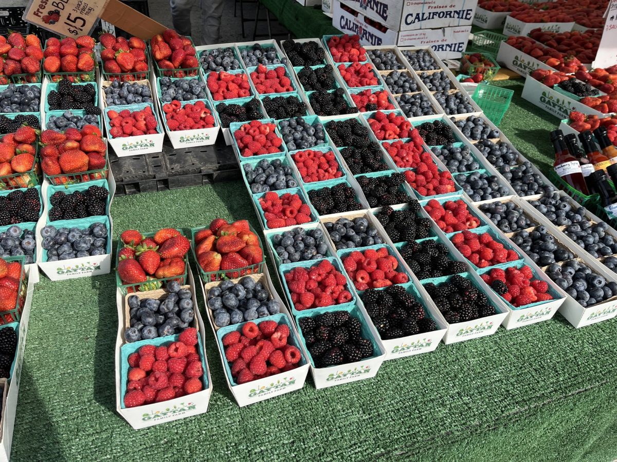 Fresh, juicy and ripe berries are perfect for a sweet treat and are available at the Manhattan Beach Farmers' Market on Oct. 15.  This market has something to suit every taste, whether you're in the mood for steaming dumplings or something sweet. (Camila Jimenez | Warrior Life)