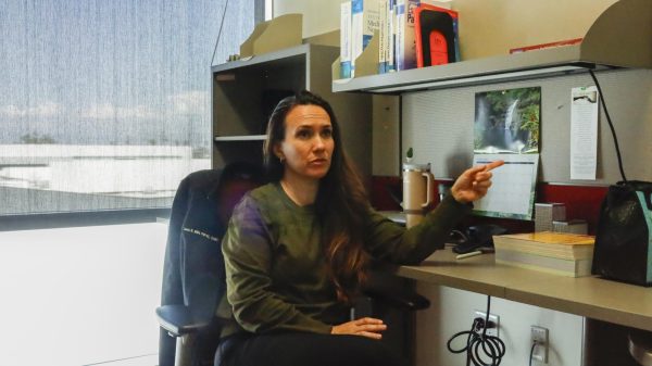El Camino College nursing instructor Laura Bulatao obtained her associate degree at ECC, before transferring to Chamberlain University in Chicago, where she obtained her master's degree. Bulatao specializes in family practice outside of ECC. (Madison Moody | The Union)