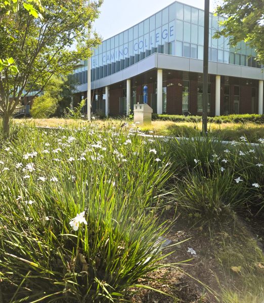 Photo taken outside of the El Camino College Administration building, Wed. May 13, 2026. (Madison Moody | The Union)