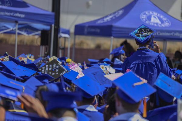 A student stands up from the crowd of seated graduates to try to spot his family at El Camino College's commencement ceremony on Wednesday, June 10. (Eleni Klostrakis | The Union)